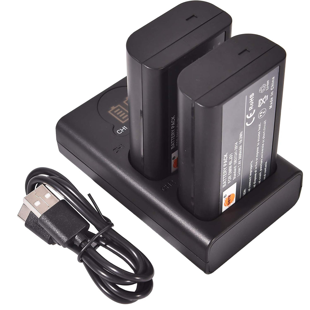 DSTE (2-Pack) DMW-BLJ31 DMW-BLJ31E Ersatz Batterie + Duales USB-Ladegerät mit LCD-Display Kompatibel