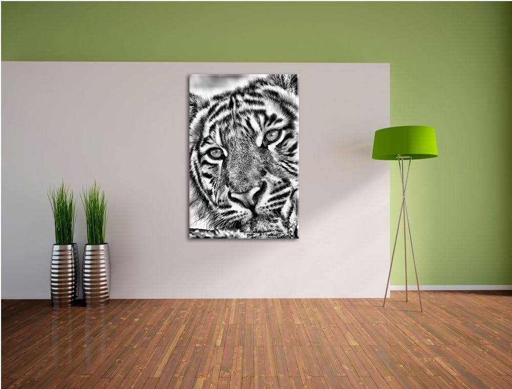 Monocrome, Tiger, Format: 100x70 auf Leinwand, XXL riesige Bilder fertig gerahmt mit Keilrahmen, Kun