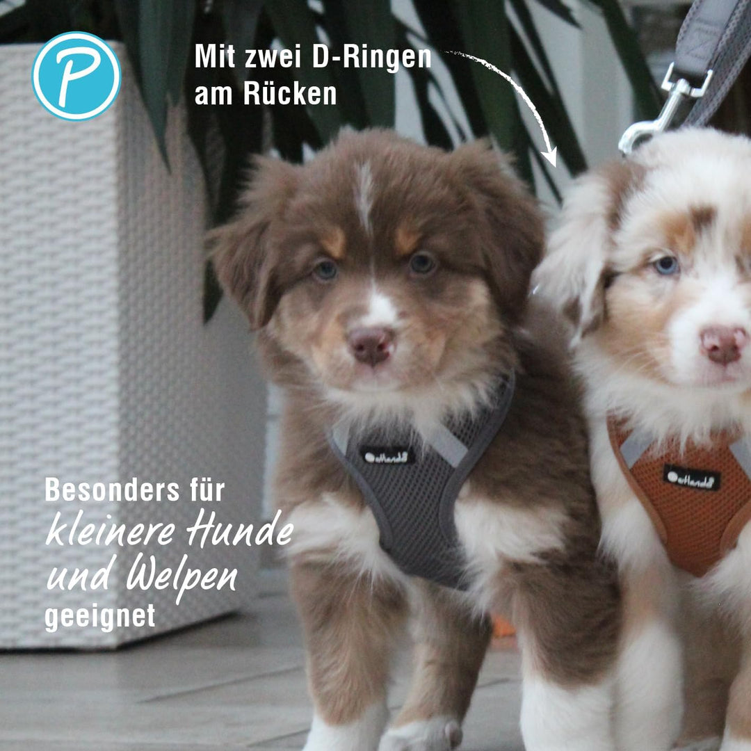 Petlando Hundegeschirr Mesh Vest, leichtes Brustgeschirr aus weichem Mesh & Nylon, stufenlos verstel