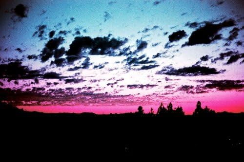 Lomochrome purple XR 100-400 / 120er Rollfilm