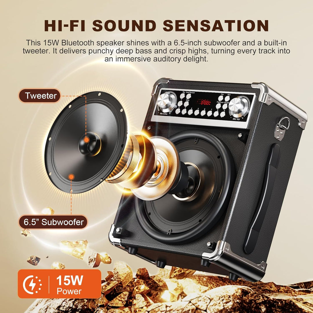 Karaoke-Maschine mit 2 kabellosen Mikrofonen, tragbarer Bluetooth-Lautsprecher für Erwachsene und Ki