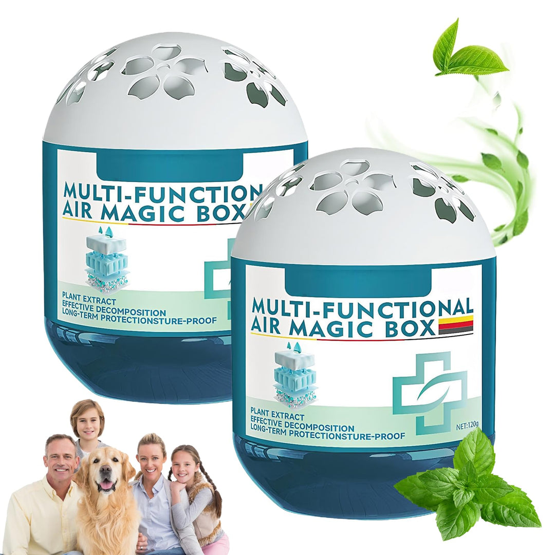 2 Stück Indoor Luftreinigung Staub Entfernung Magic Box,Multifunktionale Lufterfrisch Staubfänger Fü