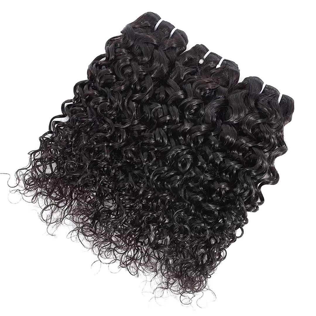 Ladiary Hair Brazilian Hair Bundle Water Wave Human Hair 3 Bundles 12 14 16 Zoll Curly Hair Weave 10