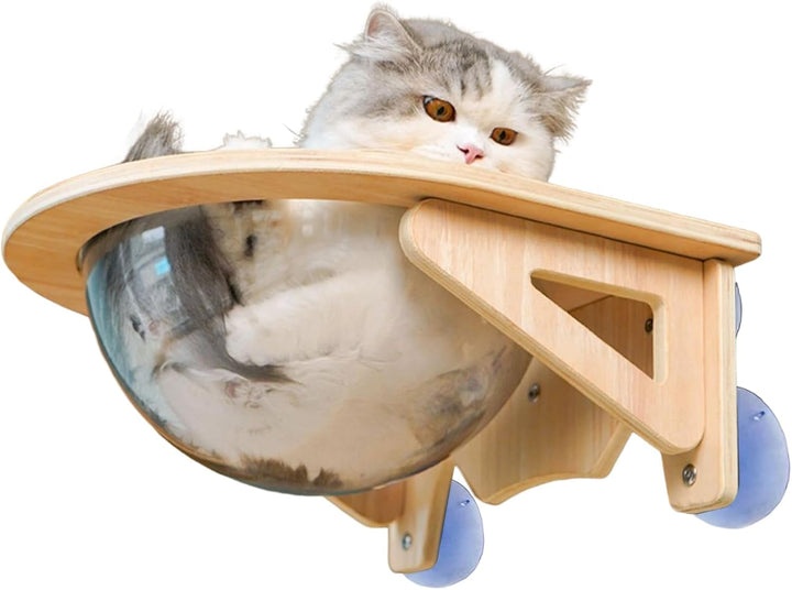 Katzen Wandregale | Durchsichtige Liege Mit Saugnapf In Blasenform | Katzen Hängematte Für - Für Hom