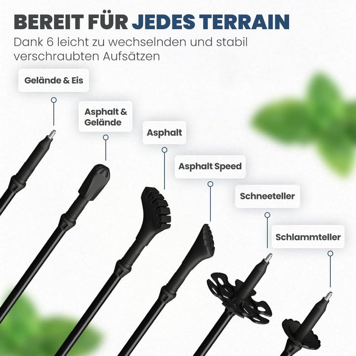 Steinwood Premium Carbon Wanderstöcke - Trekkingstöcke - extra leicht, verstellbar mit Teleskop und