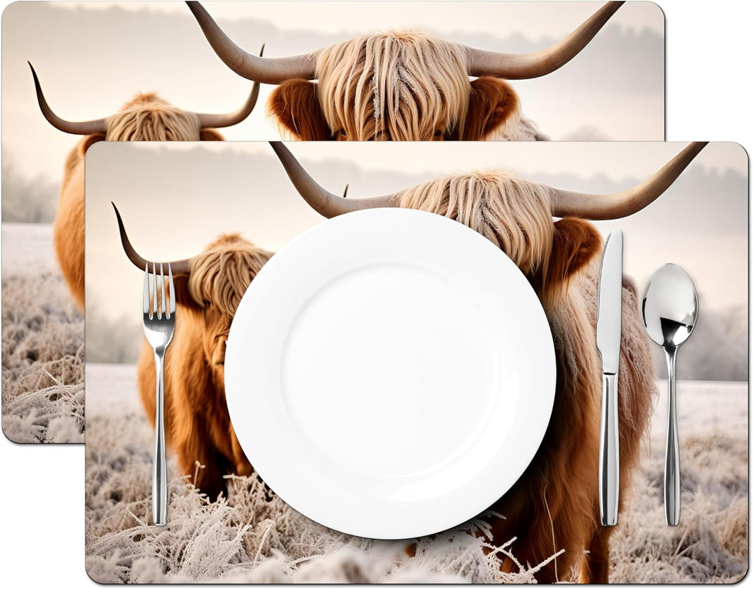 KitchenYeah© Platzsets Abwaschbar 6-Teilig 45x30 cm Tischsets Platzdeckchen Platzset Unterlage Tisch