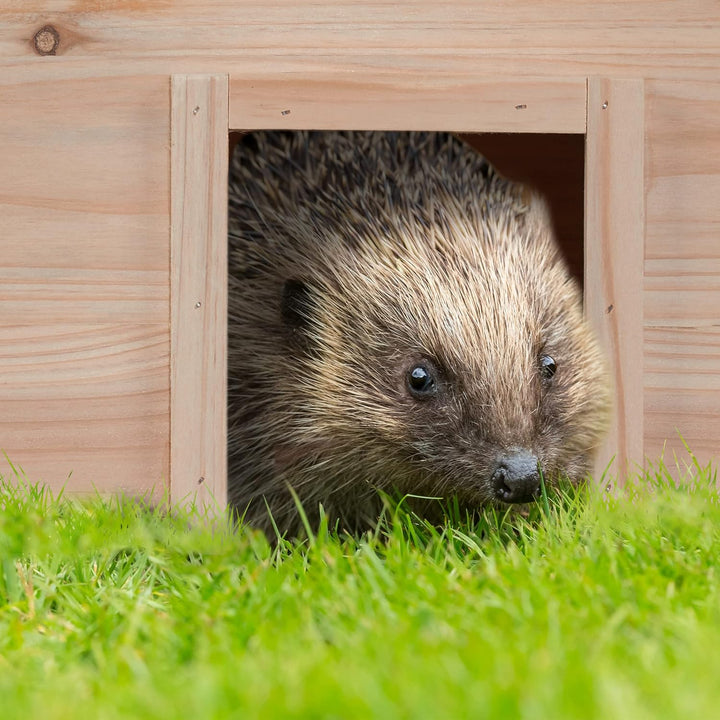 Relaxdays Igelhaus, Holz, Igelhotel mit Boden, 2 Kammern, Winterquartier für Igel, Garten, HBT: 21,5