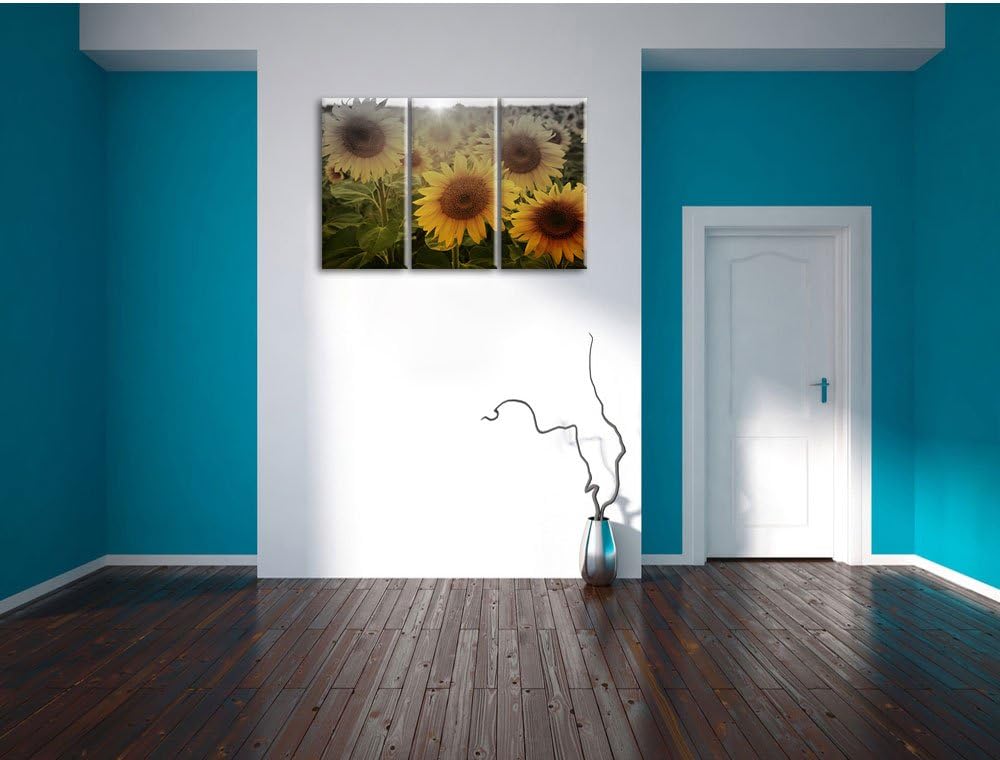 Pixxprint Sonnenblumen auf dem Feld als Leinwandbild/Grösse: 3 Teilig (120x80) cm/Wandbild/Kunstdruc