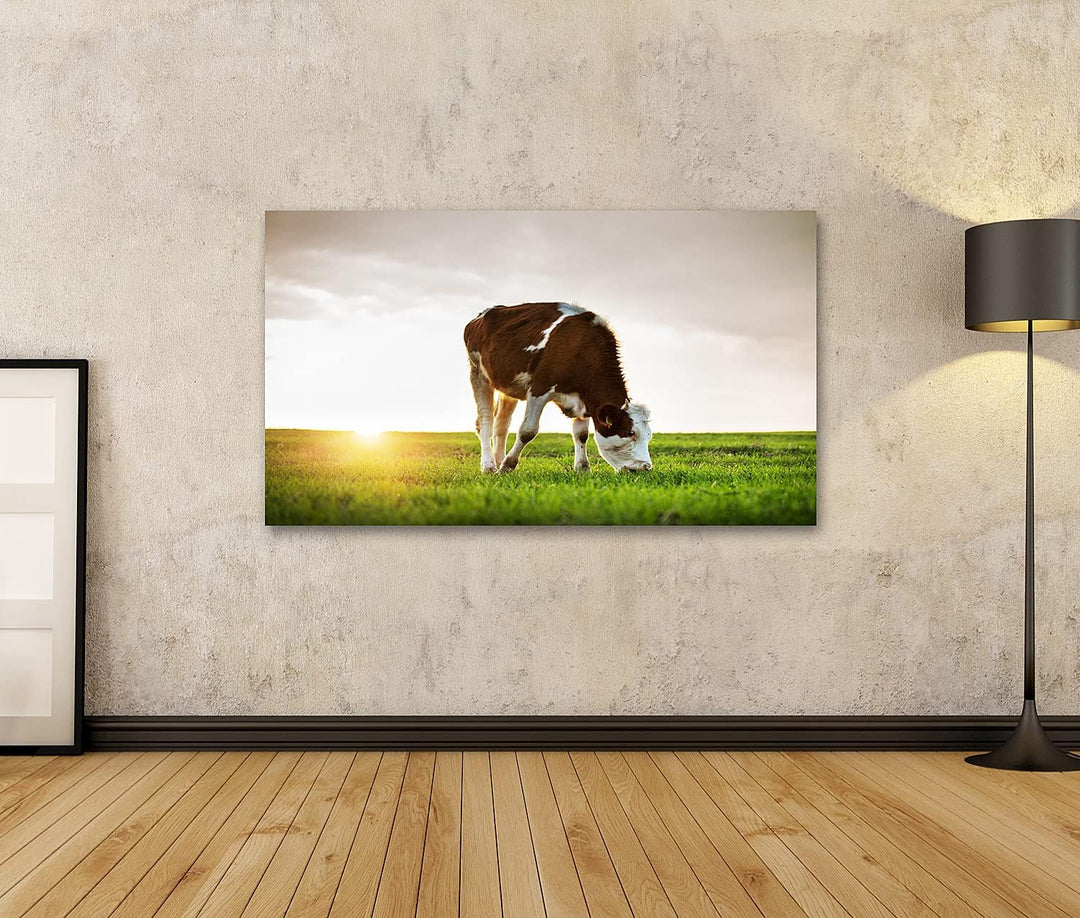 islandburner Bild auf Leinwand Grasende Kuh Auf Grüner Weide Bei Sonnenuntergang Bilder Wandbilder P