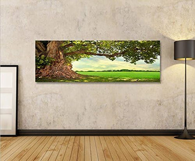 islandburner Bild Bilder auf Leinwand Alter Baum Landschaft Natur Grün Panorama XXL Poster Leinwandb