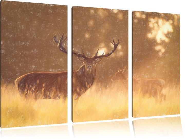 Pixxprint Rotwild im goldenen Morgenlicht als Leinwandbild/Grösse: 3 Teilig (120x80) cm/Wandbild/Kun