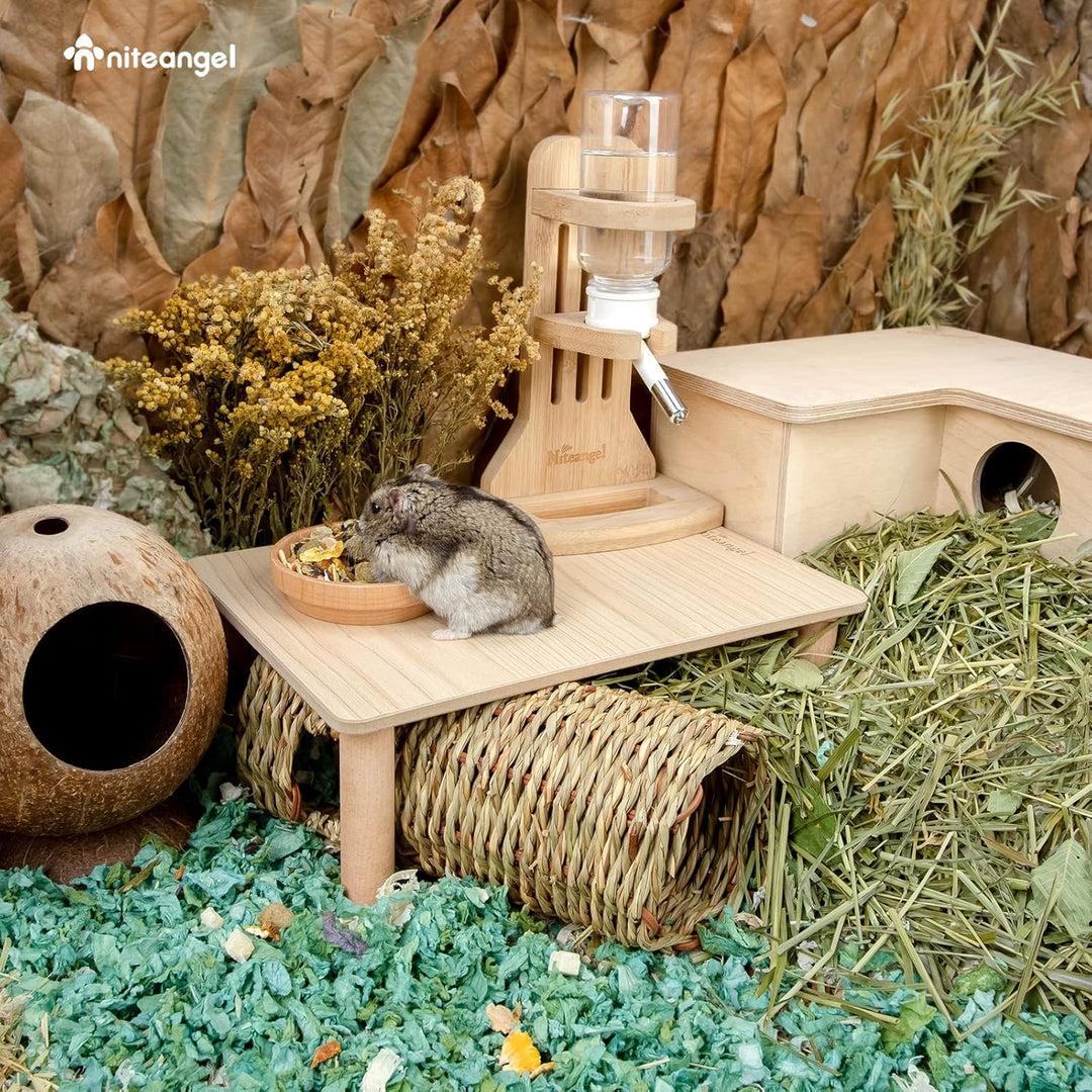Niteangel Hamster-Spielplattform aus Holz für syrische Zwerghamster, Rennmäuse, Mäuse, Degus oder an