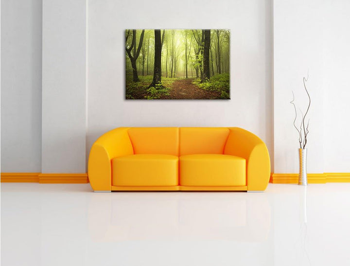 Pixxprint Sonniger Weg im atemberaubenden Wald, Format: 100x70 auf Leinwand, riesige Bilder fertig g