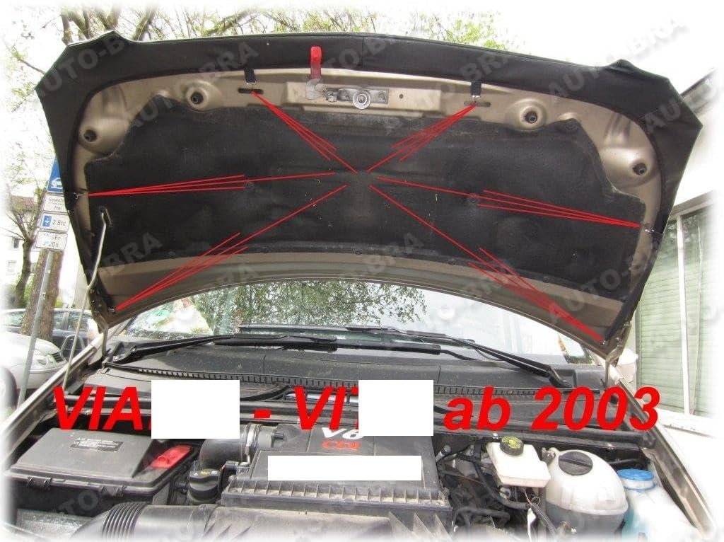AB3-00134 Auto-Bra Bonnet BRA kompatibel mit Mercedes-Benz MB Vito Viano W639 2003-2014 Haubenbra St