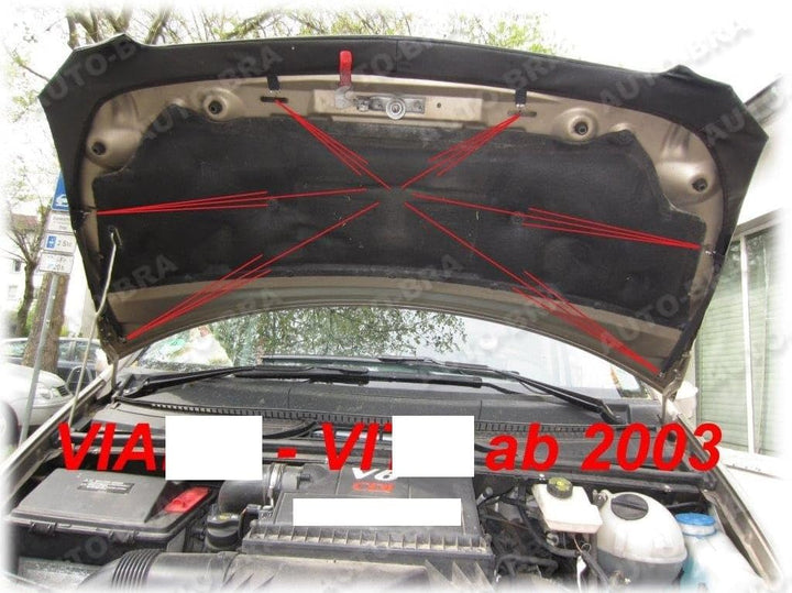 AB3-00134 Auto-Bra Bonnet BRA kompatibel mit Mercedes-Benz MB Vito Viano W639 2003-2014 Haubenbra St