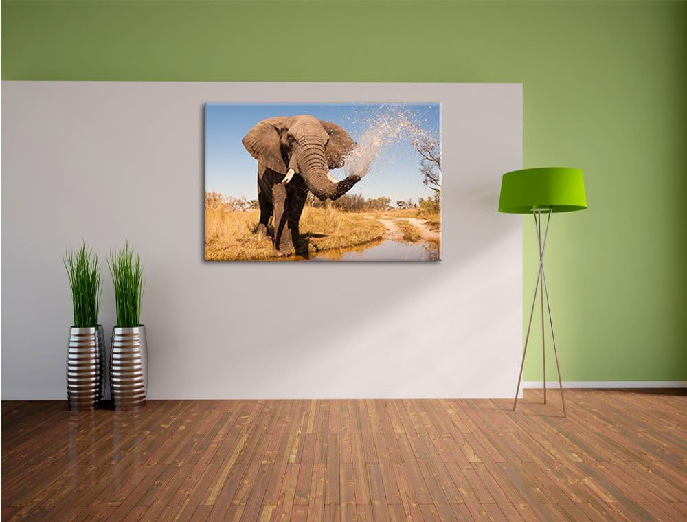 Pixxprint schöner Elefant spritzt mit Wasser als Leinwandbild/Grösse: 120x80 cm/Wandbild/Kunstdruck/