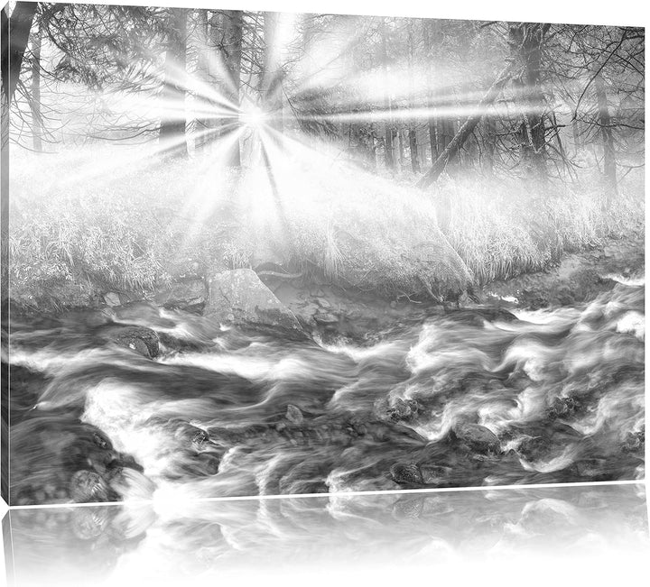 Pixxprint Nebeldickicht im Wald Kunst B&W, Format: 100x70 auf Leinwand, 100x70