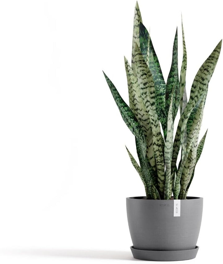 ECOPOTS Blumentopf Stockholm Grau - Durchmesser Ø 23 cm rund gross - Pflanzentopf aus Recycling Kuns