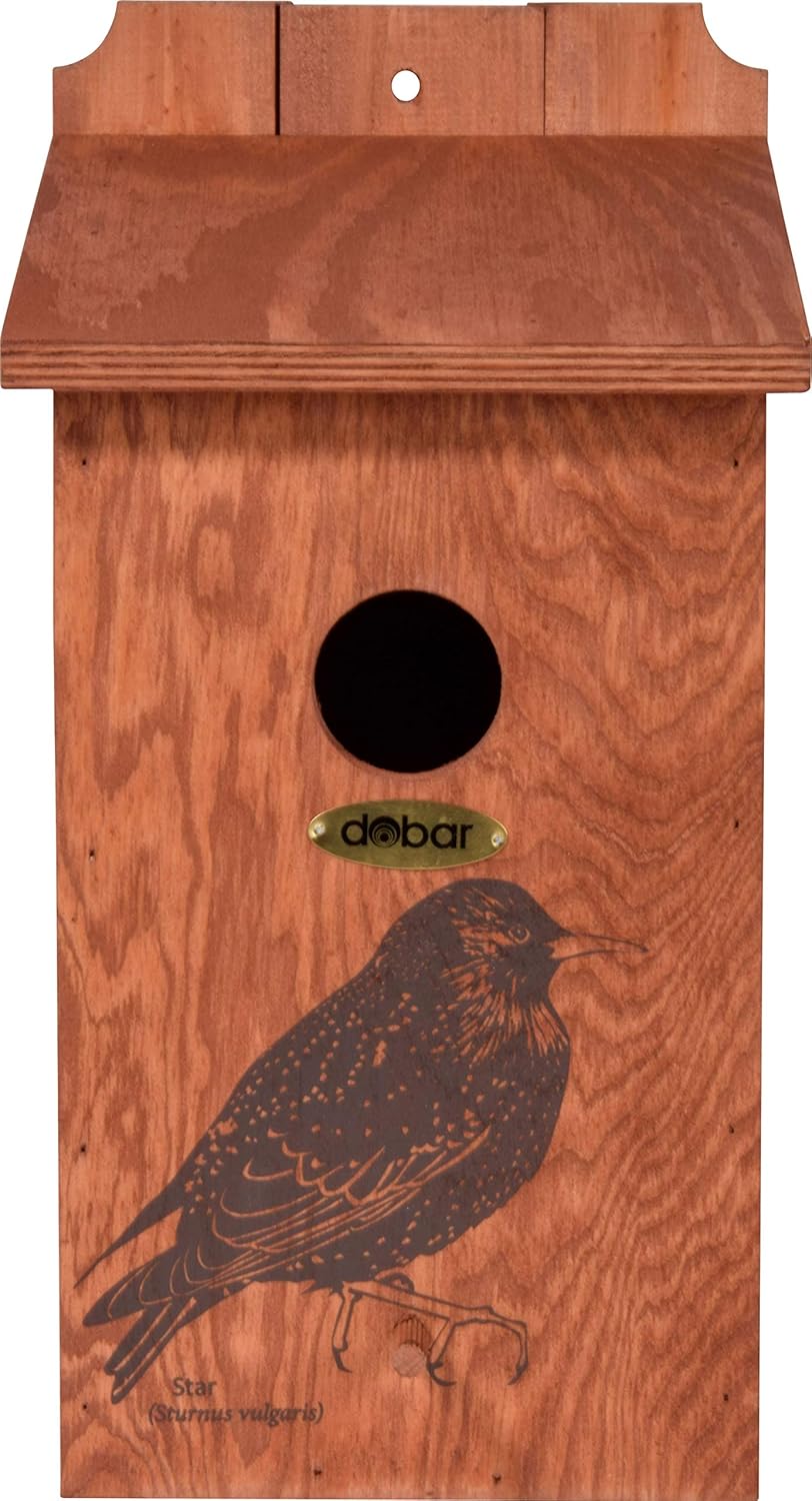 dobar® green label 22362FSCe Nistkasten "Star" - Starenkasten aus Holz - Nisthilfe für Wildvögel - W