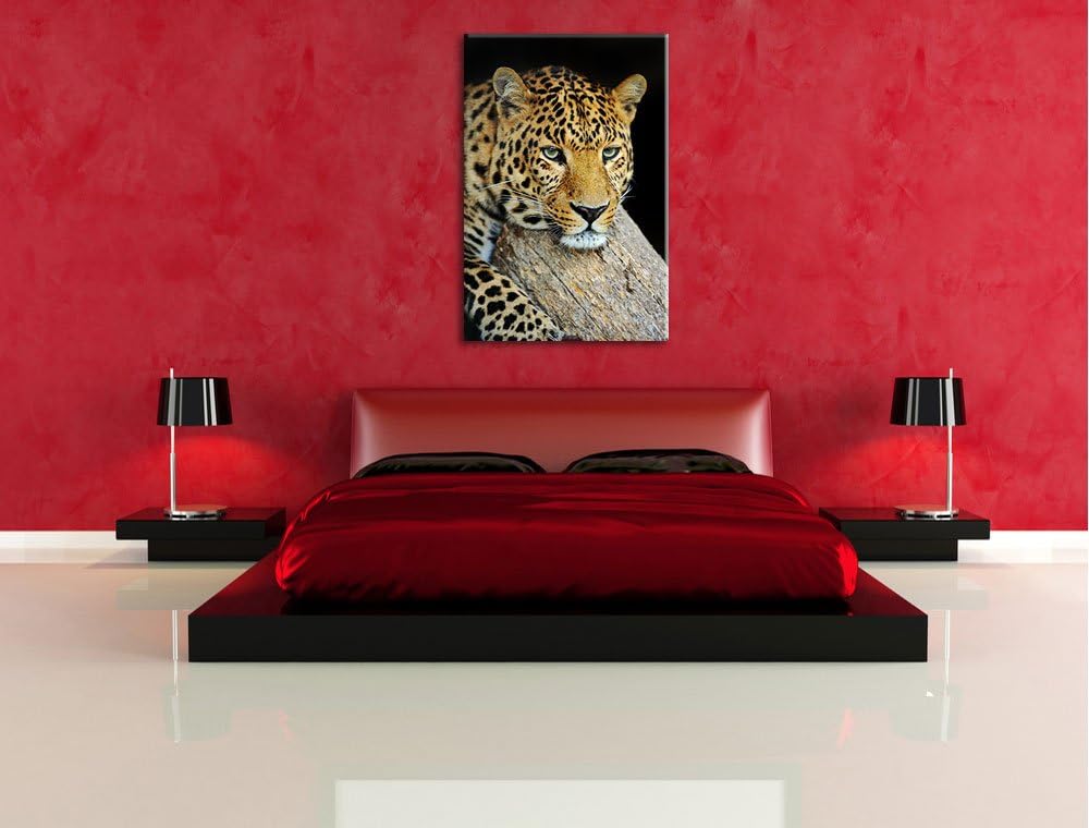 Pixxprint Ruhiger Leopard Format: 100x70 auf Leinwand, XXL riesige Bilder fertig gerahmt mit Keilrah