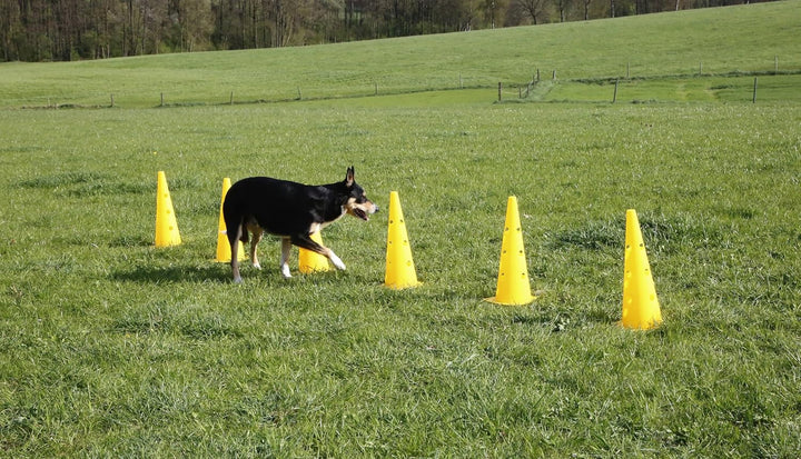 Kerbl Pet Agility Pylonen-Hürden Set, gelb, 3 Hürden