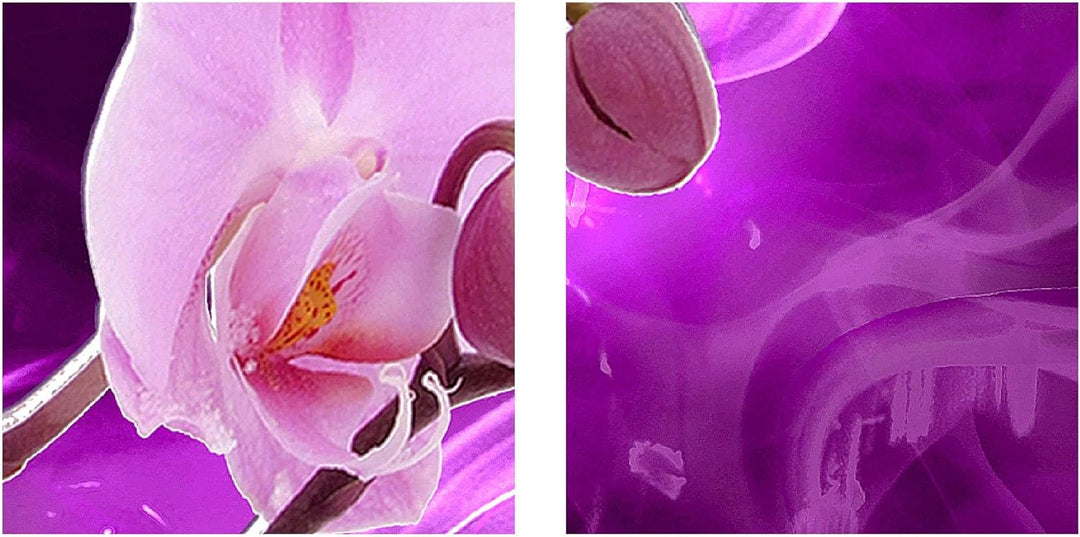 Runa Art Bild Wohnzimmer Schlafzimmer Blumen Orchidee 5 Teilig Abstrakt Violett Lila Wandbilder auf