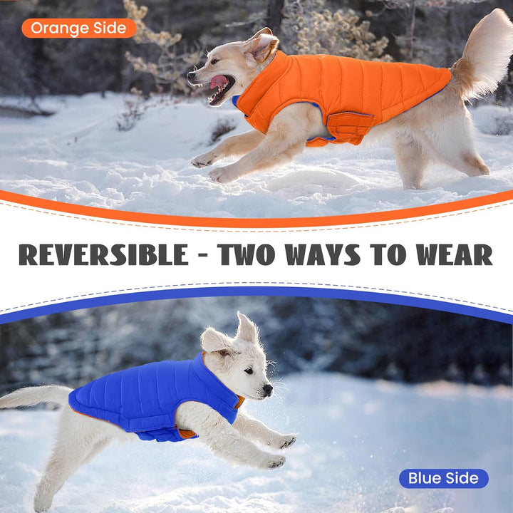 Lelepet Hundemantel Winter Jacke für Kleine Hunde, Wasserdicht Warmer Hunde Winterjacke, Wendbarer W
