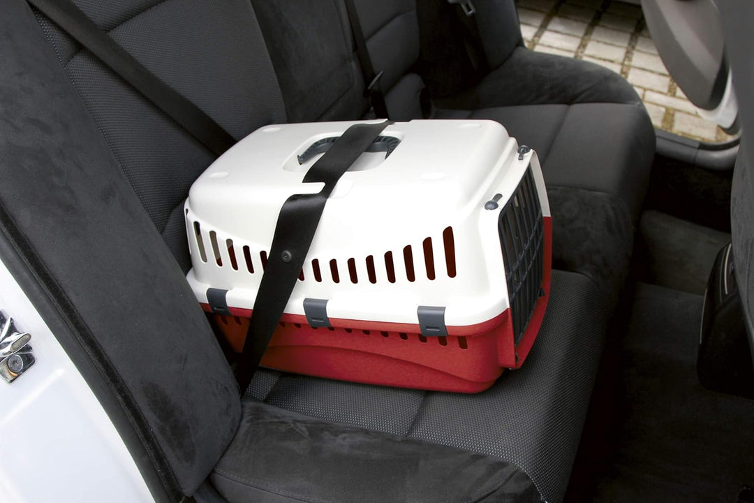 Kerbl Pet Pet Transportbox Expedion, Tiertransportbox für kleine Haustiere / Katzen / Hunde / Kaninc