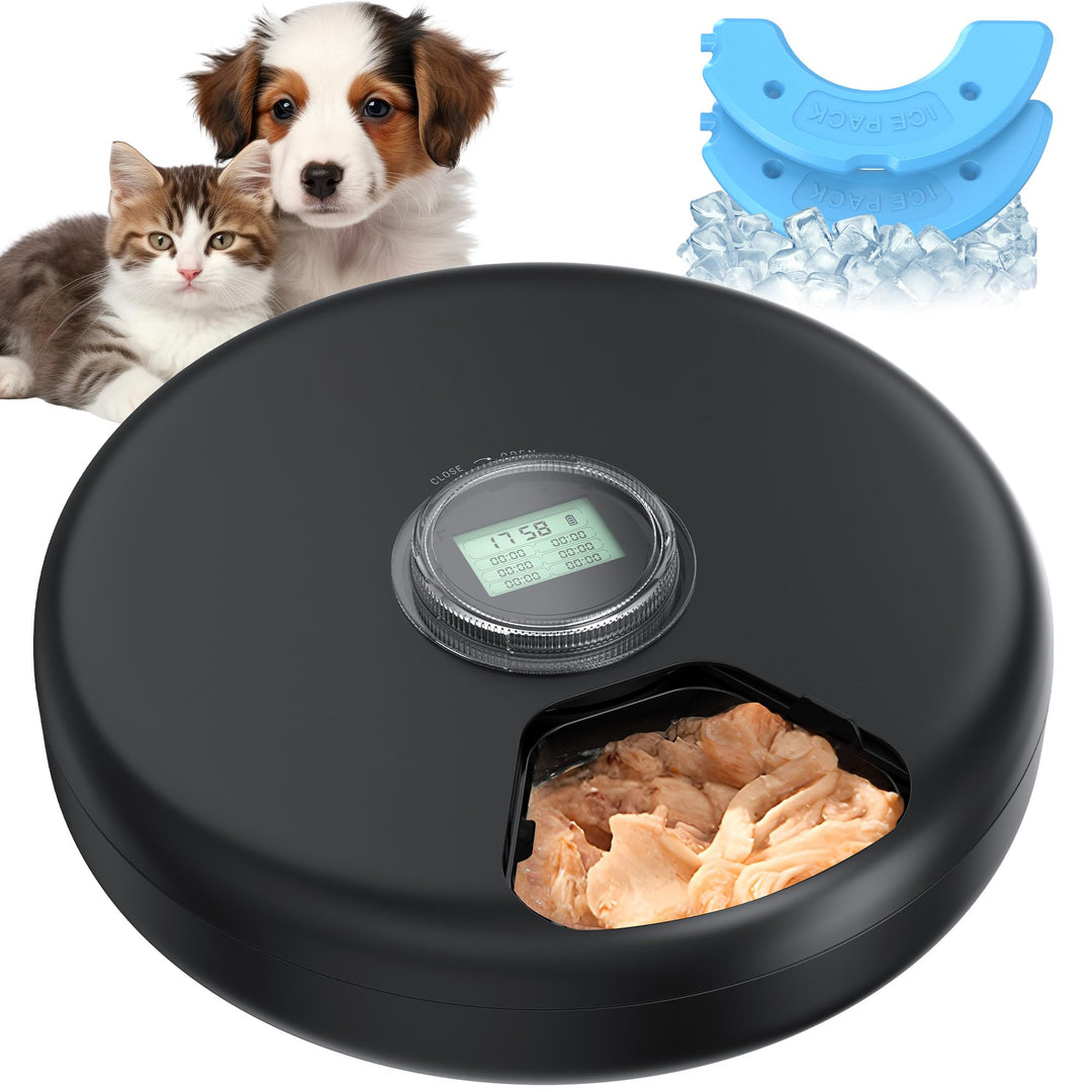 Futterautomat Katze Nassfutter Katzenfutter Automat: Futterspender Katze - Nassfutterautomat für Kat