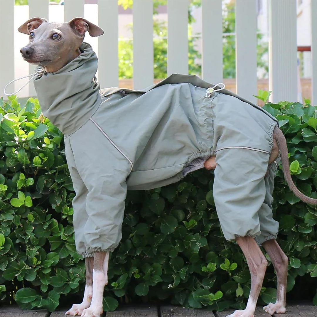 Italienische Greyhound wasserdichte Jacke, Winddichte Hundemantel Jumpsuit Mit Reissverschluss Leich