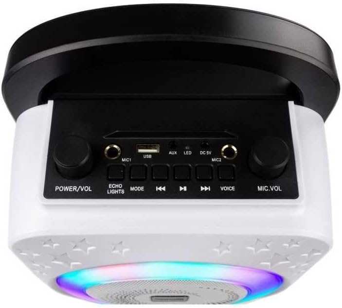Rockjam 10-Watt-Wiederaufladbare Bluetooth-Karaoke-Maschine mit zwei Mikrofonen, Sprachauswirkungen