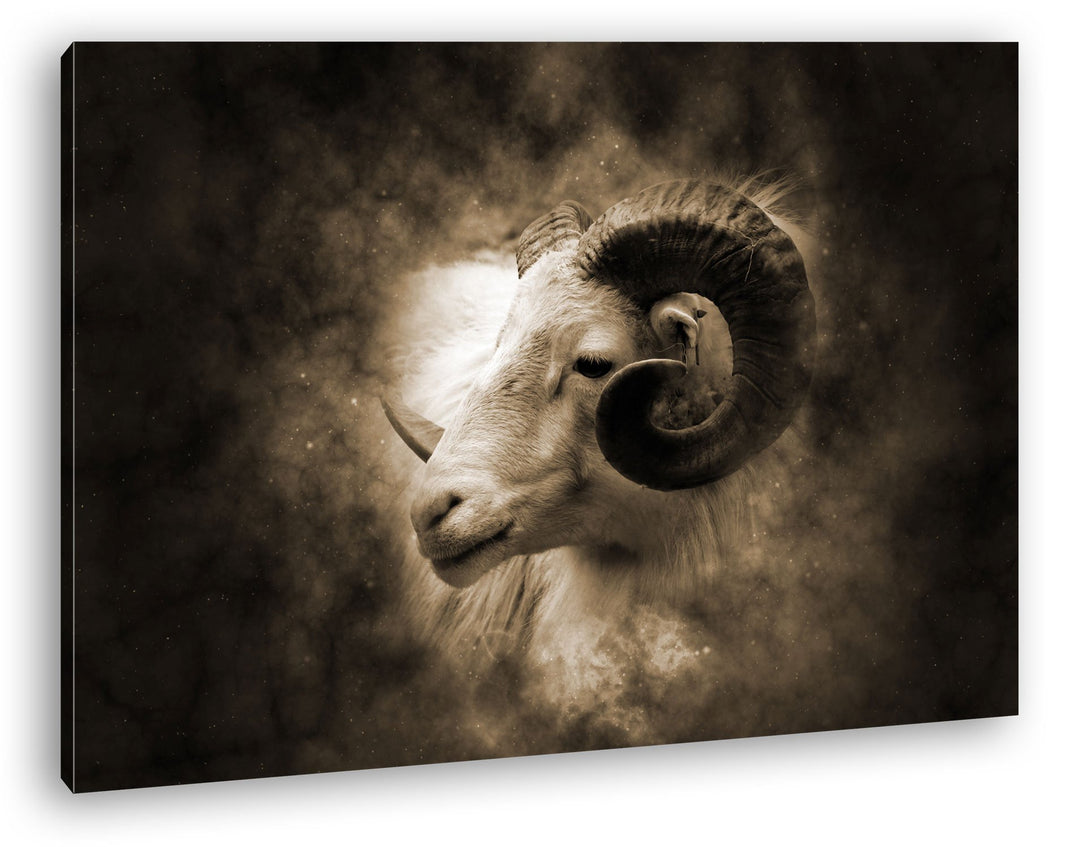 deyoli Bezaubernder Widderkopf Format: 60x40 Effekt: Sepia als Leinwandbild, Motiv fertig gerahmt au