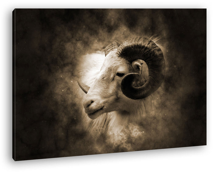 deyoli Bezaubernder Widderkopf Format: 60x40 Effekt: Sepia als Leinwandbild, Motiv fertig gerahmt au