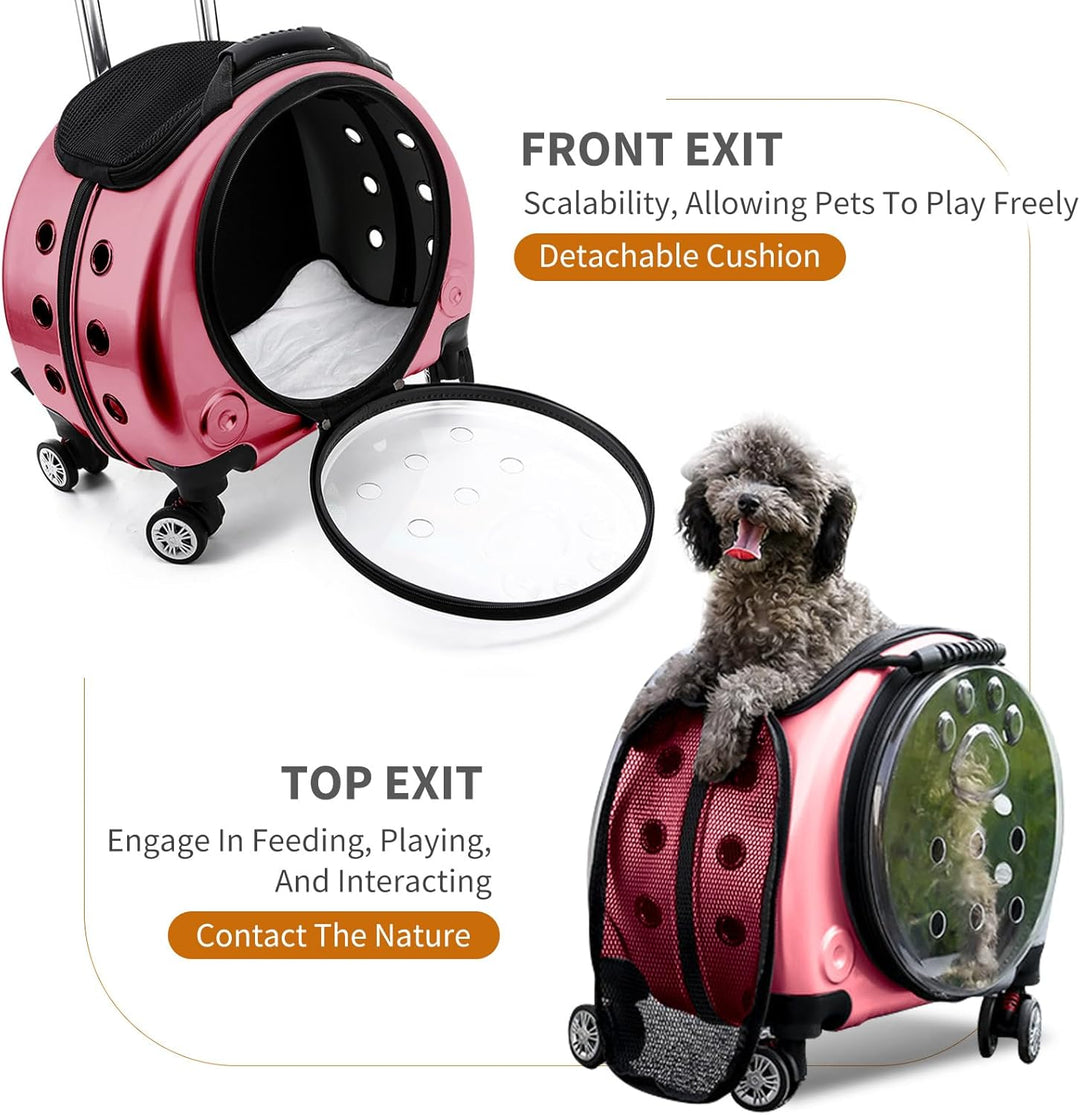 PETCUTE Haustier Rucksack,Faltbare Haustier-Tragerucksack Bis 7.5 Kg mit Herausnehmbarer Matte,Gute