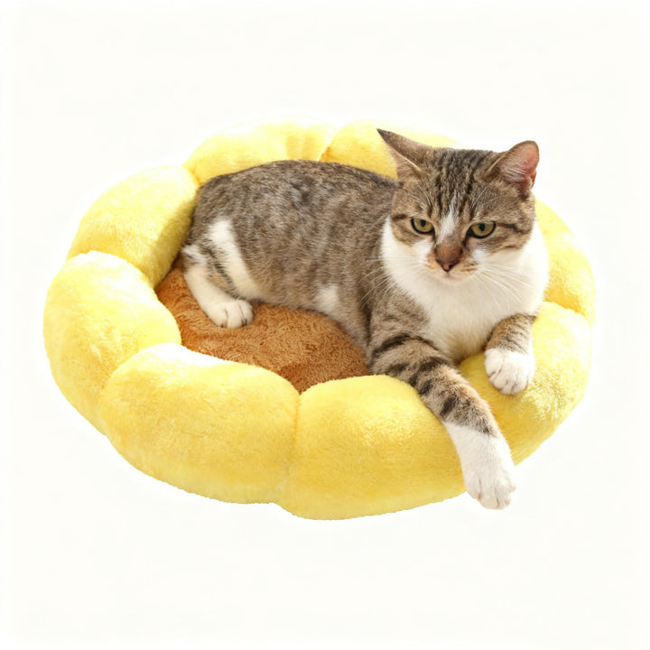 Haustierbett, Katzenbetten, Hundebett, niedliche Blumenform, für drinnen und draussen, Katzen, beruh