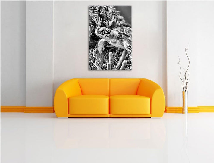 Pixxprint Monocrome, Meeresschildkröte, Format: 100x70 auf Leinwand, 100x70