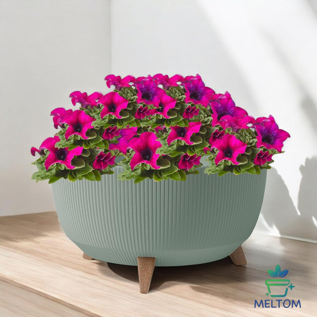 MELTOM Blumentopf Schale mit Füssen Einsatz Kräutertopf Übertopf Pflanzschale Eco Recycled (Grün, L