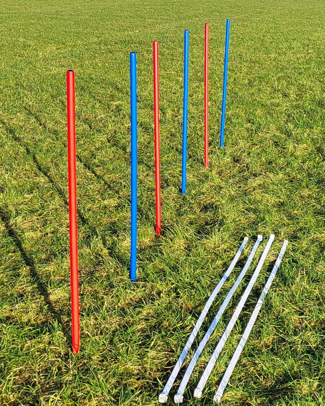 Wuzzmann Agility - Slalom - AUSBILDUNGSSET MIT 4 SLALOMBÖGEN/TRAININGSBÖGEN + 6 SLALOMSTANGEN ROT/BL