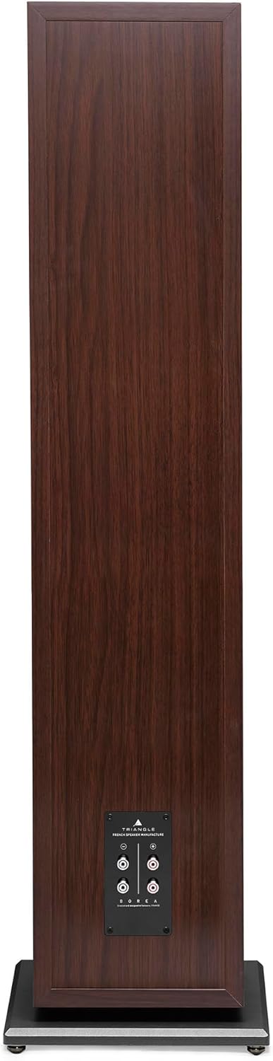 TRIANGLE - BOREA BR10 Hi-Fi Standlautsprecher - Belastbarkeit 200W - Leistung 92 dB/W/m - 21 cm Laut