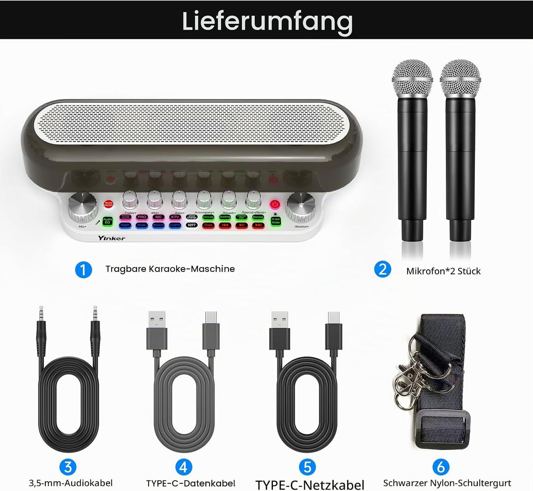 Audio Mixer Bluetooth Maschine mit 2 Kabellose Mikrofones Tragbarer Karaoke Lautsprecher, Live Sound