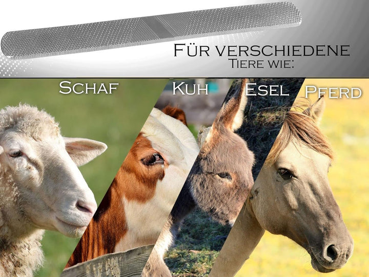 Hufraspel Doppelseitig 4-Fach Fein und Grob 1 x Raspelhieb und 1 x Feilenhieb Huffeile Huftrimmwerkz