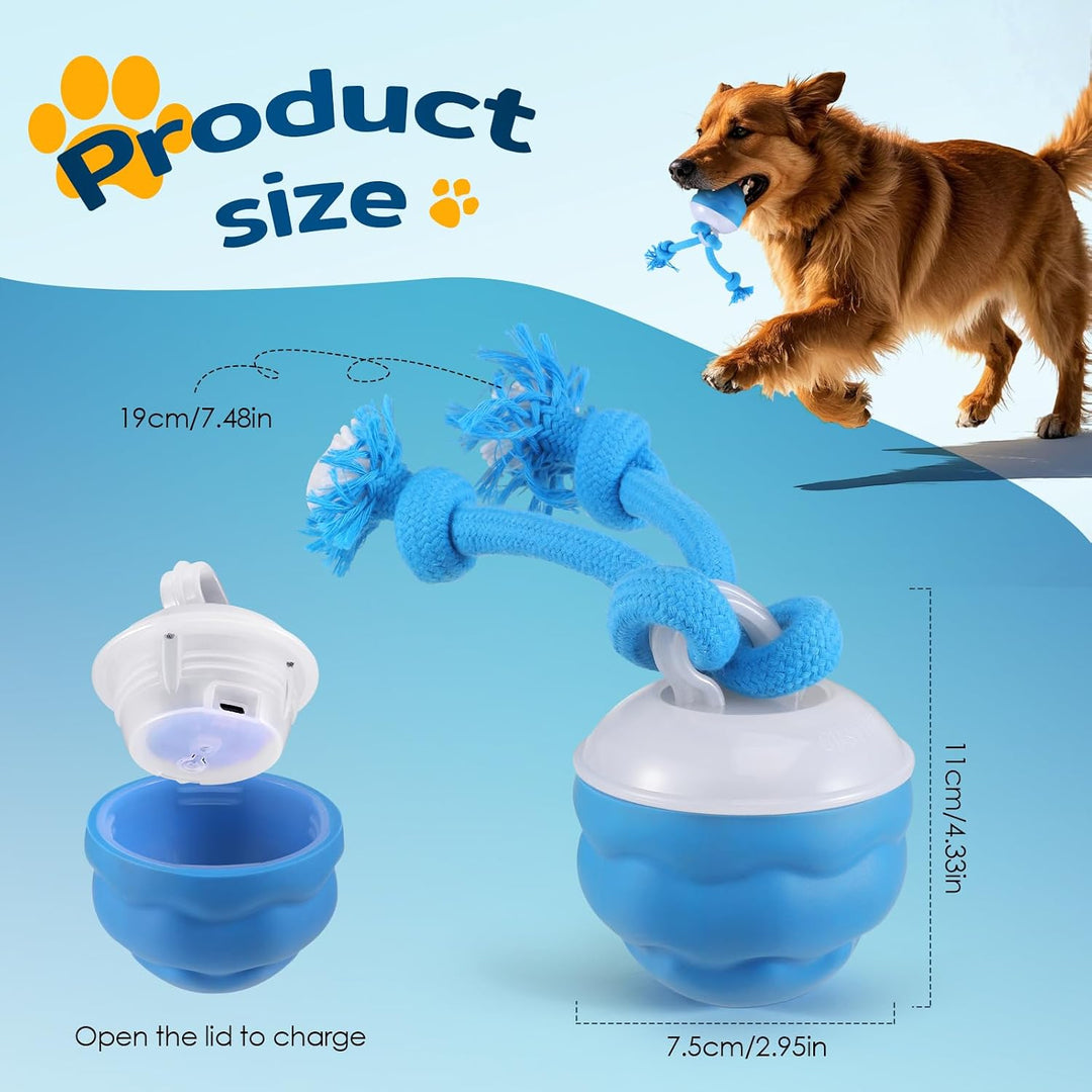 Interaktiver Ball, Rollt &amp; Springt, USB-C, für kleine Hunde blau, blau