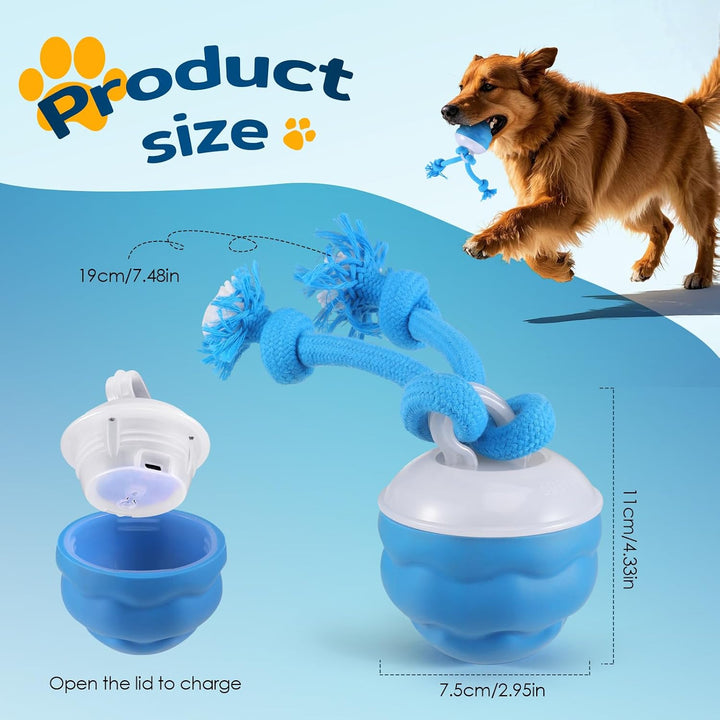 Interaktiver Ball, Rollt &amp; Springt, USB-C, für kleine Hunde blau, blau