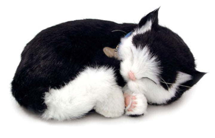 Perfect Petzzz - 65432 – Interaktives Plüschtier – Katze – Shortair Bundle – Schwarz/Weiss – Tier at