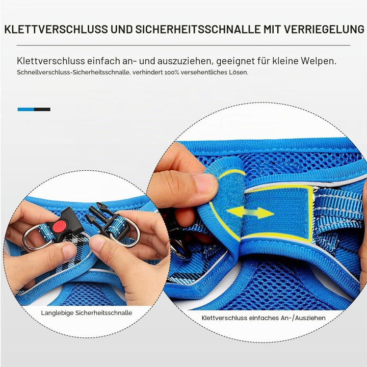 Suredoo Hundegeschirr Kleine Hunde mit Leine, Anti Zug Geschirr Reflektierend Atmungsaktiv Brustgesc