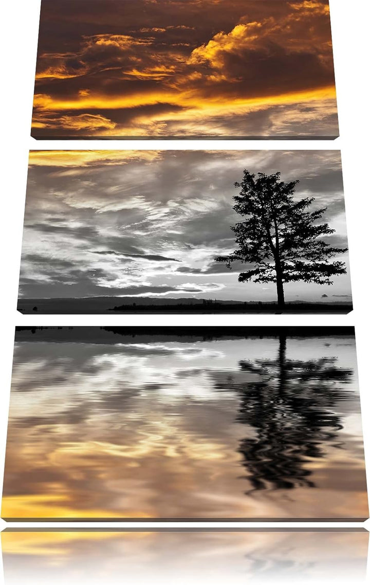 Pixxprint einsamer Baum auf Wiese als Leinwandbild/Grösse: 3 Teilig (120x80) cm/Wandbild/Kunstdruck/