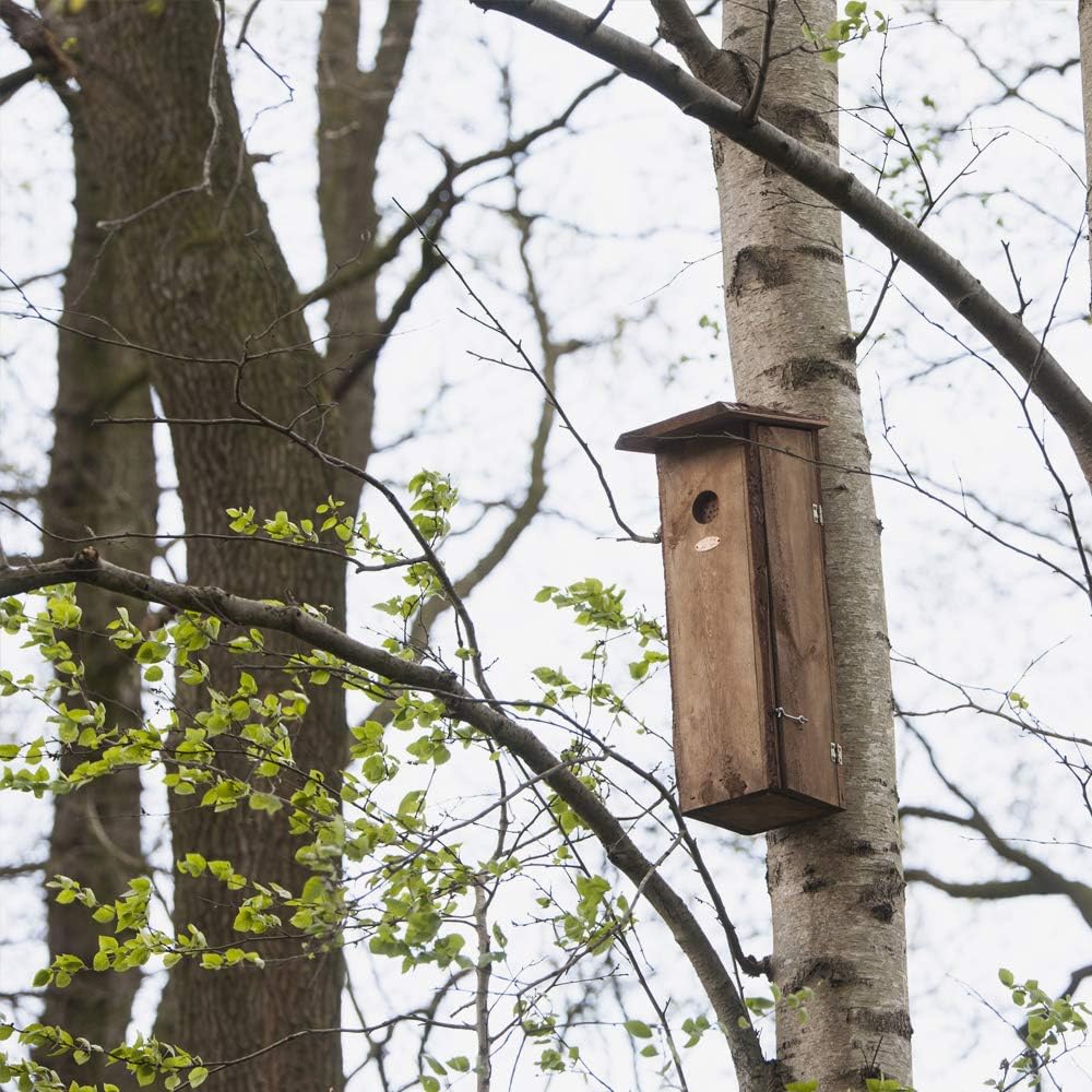 Esschert Design Nistkasten, Vogelhaus Buntspecht