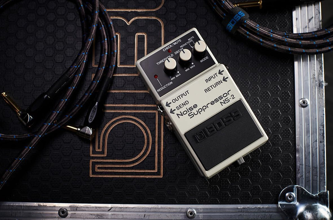 BOSS NS-2 Noise Cancelling Pedal, Pedal
