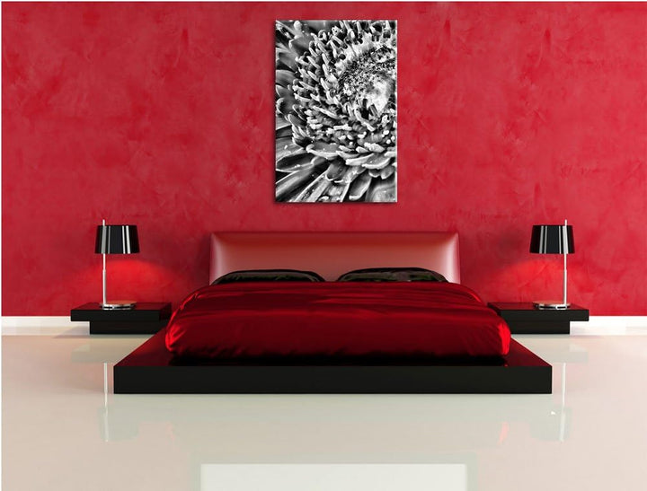 Pixxprint Monocrome, red Flower Gerbera Sunshine Gras Blumen, Format: 100x70 auf Leinwand, XXL riesi