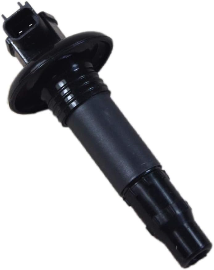 Zündspulen 420664020 296000307 Set für Motorrad Roller GTX RXT RXP GTS Wake 4-TEC-4TEC